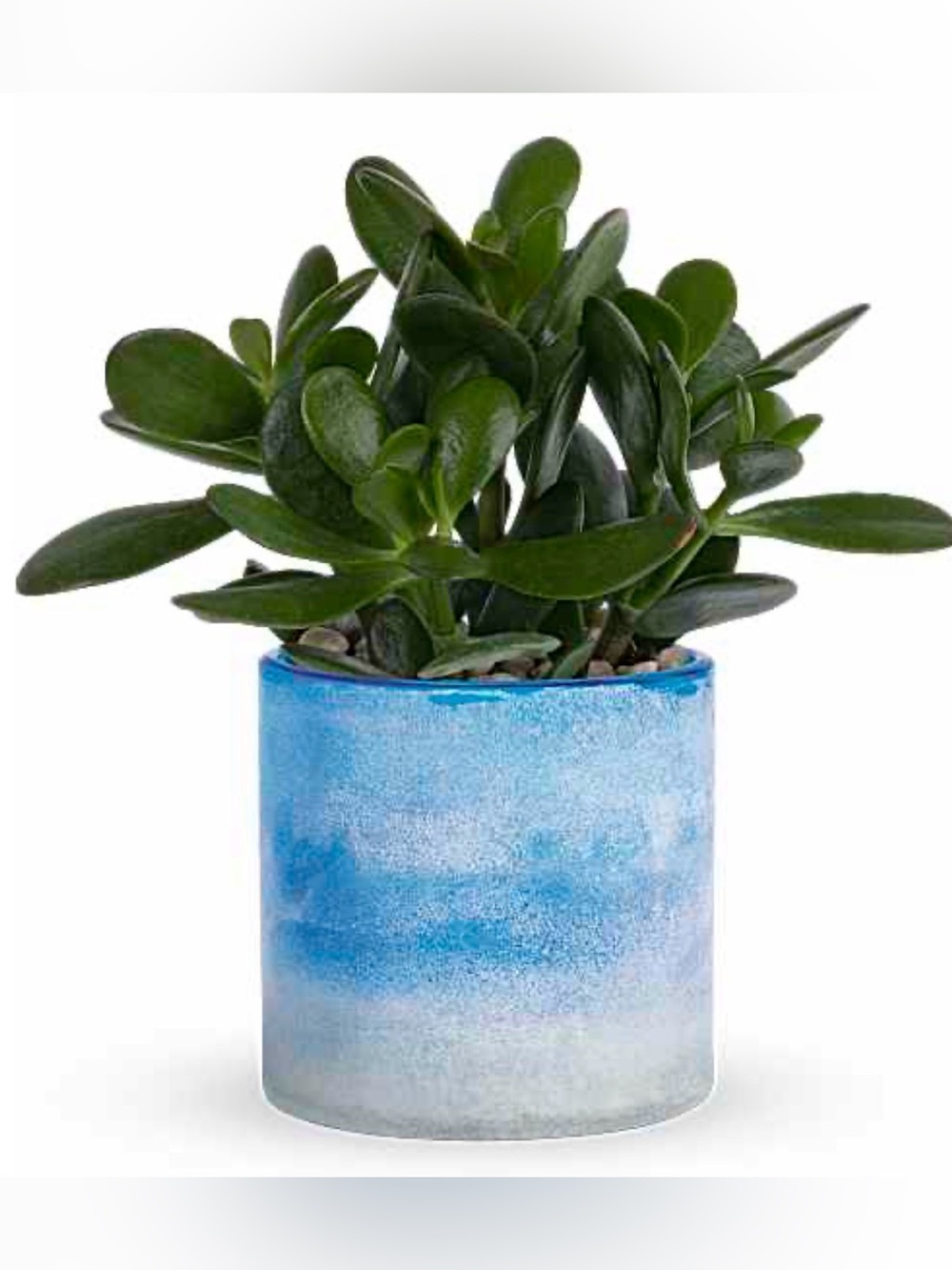 teleflora frosted,hand-blown,art glass vase/Blue Skies Color Frost Art cylinder - Picture 2 of 9